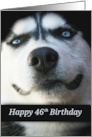 Fun Turning 46, 46th Birthday, Cute Dog 46th Birthday, 46 Years Old card