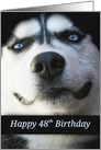 48th Birthday, Fun Birthday for 48th, 48 Years Old, Cute Husky Dog card