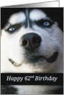 Cute Happy 62nd Birthday, Husky Dog Fun Smiling Birthday card