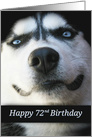 Fun Turning 72, 72 Years Old, Happy 72nd Birthday Smiling Husky Dog card