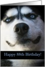 Happy 88th Birthday Smiling Husky Dog card