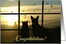 Congratulations on Becoming a Veterinarian card