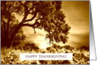 Antiqued Vineyard and Oak Tree Happy Thanksgiving card