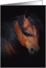 Thinking about you Beautiful Horse Art card