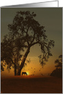 Horse and Oak Tree Sunrise Thank you card