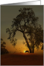 Horse and Oak Tree Sunrise Hello card