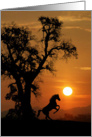 Horse in the Sunset Encouragement Card