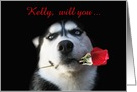 Will you marry me Siberian Husky with a Rose Customizable card