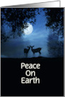 2 Deer Moonlight Peace on Earth Customizable Holiday Season card