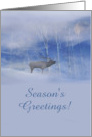 Season’s Greetings Elk and Moon In Snow Xmas Holiday Card Customize card