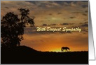 Sympathy Card with horse in the sunset customize card