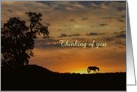 Horse in Sunset Thinking of You Customizable card