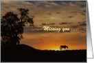 Horse in Sunset Missing You Customizable card