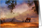 Loss of horse sympathy card horse in sunset card