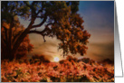 Happy Thanksgiving Fall Vineyard and Oak Tree card