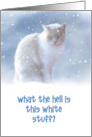 Season’s Greetings, Cat in the Snow Customize Humorous card