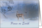 Beautiful Wildlife Deer and Blue Jay Bird Peace on Earth Customize card