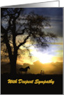 Sympathy card horse in sunset customizable card