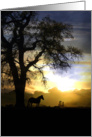 Horse and Sunset Thinking of you card