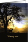 Missing you horse in the sunset and wishing you were here Customizable card