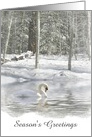 Season’s Greetings Snow Swan Customizable card