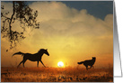 Happy Birthday Dog and Horse Running At Sunrise card