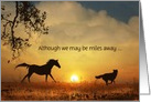 Horse & Dog in the Sunrise Thinking of you From Across the Miles Custo card