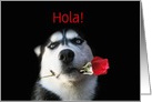 Spanish Hi Husky Dog and Rose Customize card