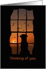 Thinking of you Dog in Window Customize card