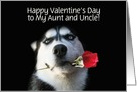 Happy Valentine’s Day Customizable Husky and Red Rose for Aunt & Uncle card