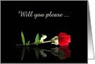 Will you please be my Valentine Red Rose Customizable card