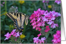 Spiritual Butterfly and Flowers Sympathy card