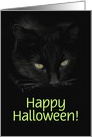 Black Cat Halloween Fun Customizeable card