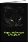 Black Cat and Witch Halloween Fun for Grandson Customizeable card