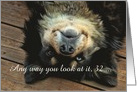 32nd Birthday Looking Great Cute Upside Down Dog Customizeable card