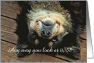 58th Birthday Looking Great Cute Upside Down Dog Customizeable card