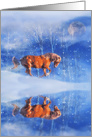 Season’s Greetings Horse Running in the Snow card
