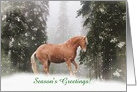 Season’s Greetings Horse in the Snow Customizable card