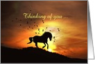 Thinking of You Horse and Sunset Running Customizeable card