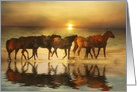 From All of Us, Herd of Horses on the Beach Birthday, From the Herd card