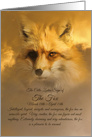 The Celtic Zodiac Sign of the Fox March 18th - April 14th card