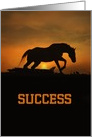 Horse Hang in There Success Encouragement card