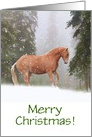 Merry Christmas Horse in the Snow Customizable card