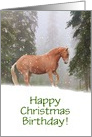 Happy Christmas Birthday Horse Customizable card