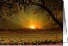 Sunrise in the Vineyard Birthday card