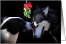 Merry Christmas Dogs and Mistletoe card