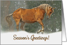 Season’s Greeting Christmas Horse card