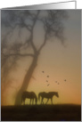 Thinking of You Horses in the Sunset card