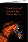 Customizable Race Horse Long Shot Wins Big Encouragement card
