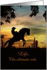 Country Western Cowboy and Bucking Horse Life’s a Ride card